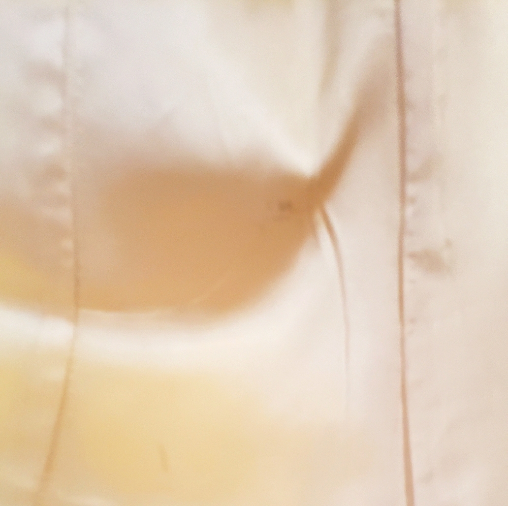 Jacob Spring Coat - Picture 4 of 12